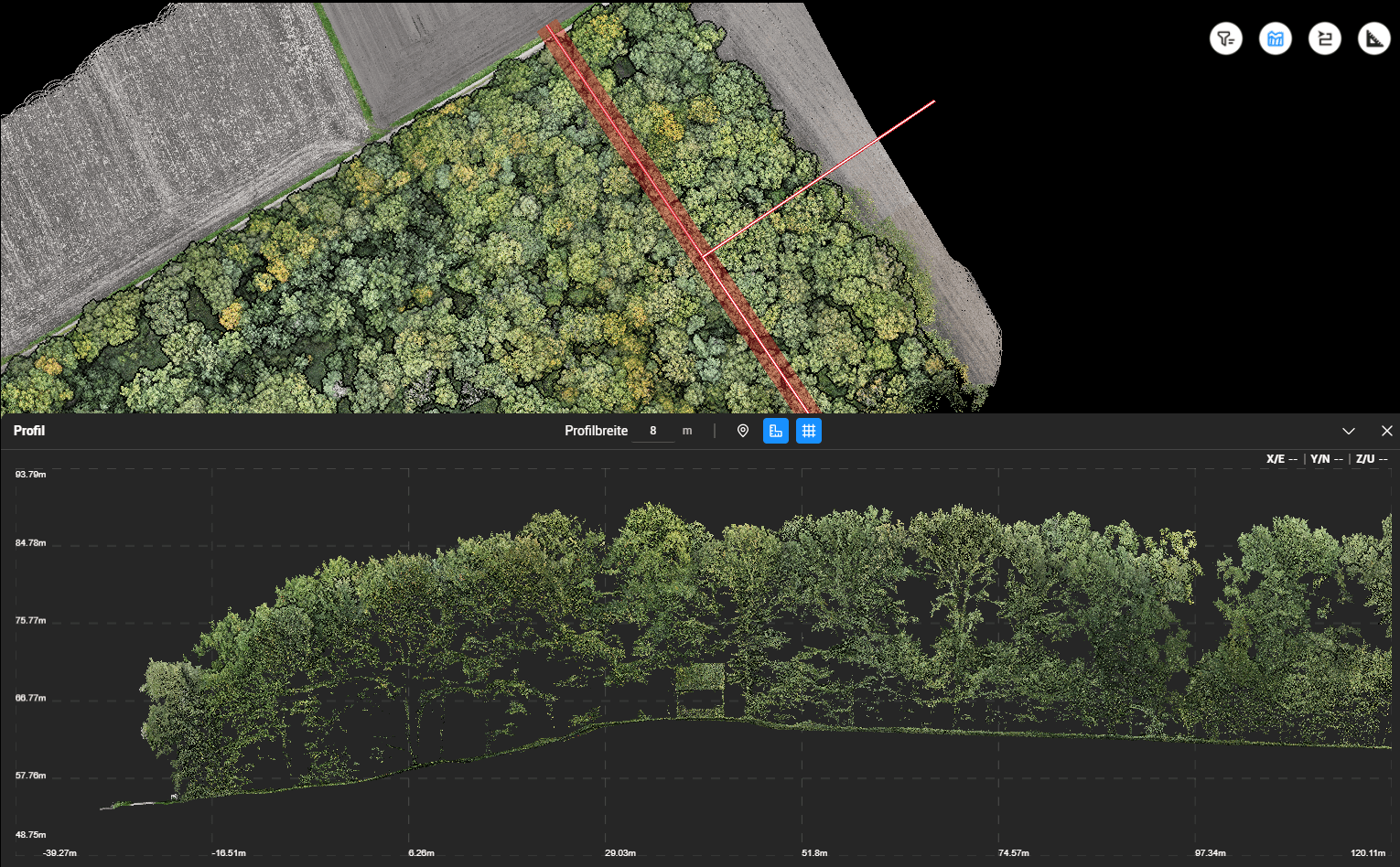 LiDAR-Punktwolke eines Waldes mit Draufsicht und einem detaillierten vertikalen Höhenprofil zur Geländeanalyse.